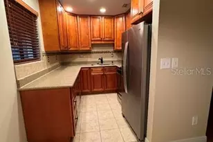 11722 Raintree Lake Ln, Tampa, FL 33617 - Photo 33