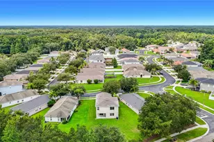 25956 Terrawood Loop, Land O Lakes, FL 34639 - Photo 45