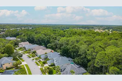 9814 Gretna Green Drive, Tampa, FL 33626 - Photo 5