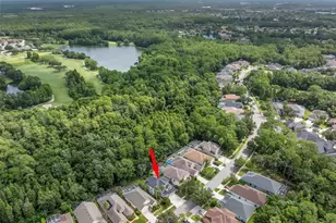 9706 Gretna Grn Dr, Tampa, FL 33626 - Photo 39