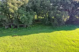 16520 Spring Valley Rd, Dade City, FL 33523 - Photo 35