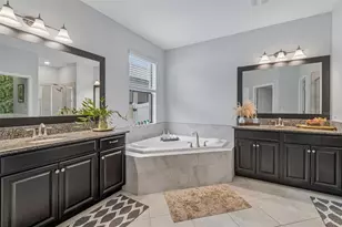 11002 Little Blue Heron Dr, Riverview, FL 33579 - Photo 17