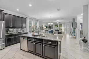 11002 Little Blue Heron Dr, Riverview, FL 33579 - Photo 9