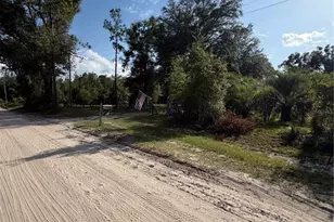5649 209th Rd, Live Oak, FL 32060 - Photo 47