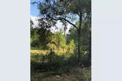 5649 209th Road, Live Oak, FL 32060 - Photo 59