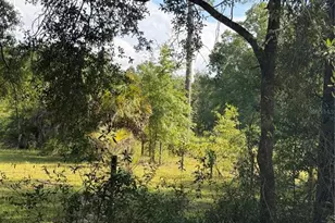5649 209th Rd, Live Oak, FL 32060 - Photo 59