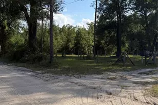5649 209th Rd, Live Oak, FL 32060 - Photo 47
