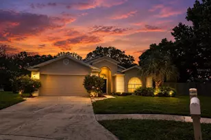 28427 Sunvale Pl, Wesley Chapel, FL 33543 - Photo 1