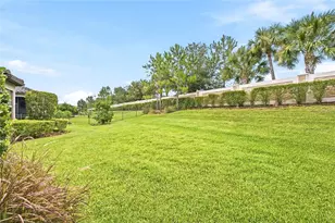 3118 Forsythia Dr, Odessa, FL 33556 - Photo 55