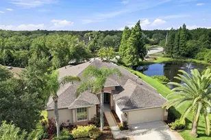 10113 Cannon Dr, Riverview, FL 33578 - Photo 41