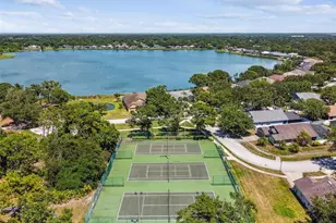 10113 Cannon Dr, Riverview, FL 33578 - Photo 47