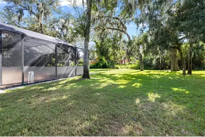 15910 Ternglade Drive, Lithia, FL 33547 - Photo 69