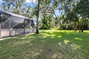 15910 Ternglade Dr, Lithia, FL 33547 - Photo 69