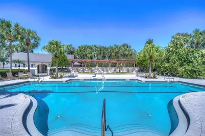 15910 Ternglade Drive, Lithia, FL 33547 - Photo 91