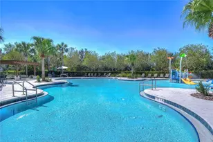 15910 Ternglade Dr, Lithia, FL 33547 - Photo 93