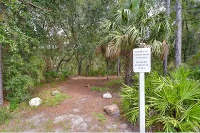 8551 Trail Wind Drive, Tampa, FL 33647 - Photo 39