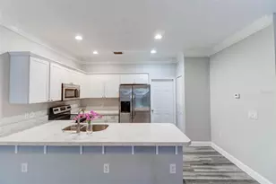 16305 Fairford Palms Ct, Tampa, FL 33647 - Photo 13