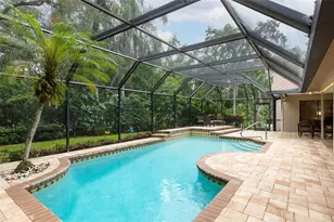 1056 Eniswood Pkwy, Palm Harbor, FL 34683 - Photo 33
