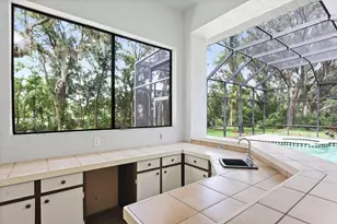 6034 Hammock Hill Ave, Lithia, FL 33547 - Photo 53