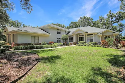 6034 Hammock Hill Avenue, Lithia, FL 33547 - Photo 1