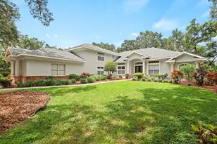 6034 Hammock Hill Ave, Lithia, FL 33547 - Photo 55