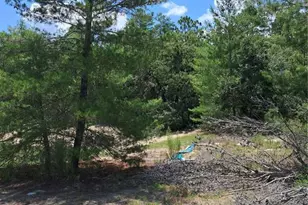 0 SW 65 Ave Rd, Ocala, FL 34473 - Photo 1