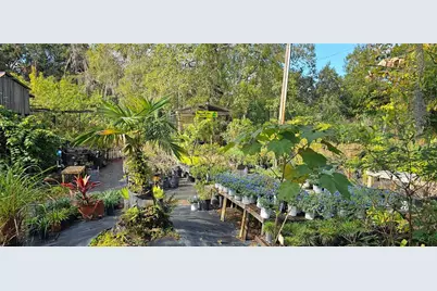 0000 Gunn Highway, Odessa, FL 33556 - Photo 19