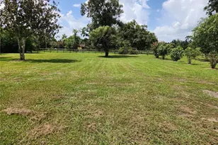 3903 Powerline Rd, Lithia, FL 33547 - Photo 3