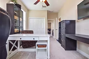 3431 Diamond Falls Cir, Land O Lakes, FL 34638 - Photo 45