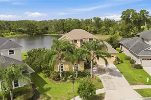 3431 Diamond Falls Cir, Land O Lakes, FL 34638 - Photo 63