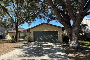 4305 Ellenville Pl, Valrico, FL 33596 - Photo 1