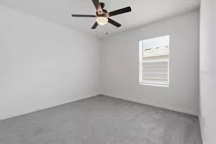 33503 Elm Hl Br, Wesley Chapel, FL 33545 - Photo 31