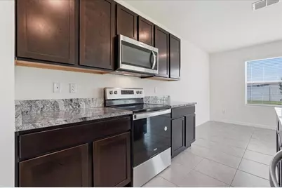 33503 Elm Hill Branch, Wesley Chapel, FL 33545 - Photo 19
