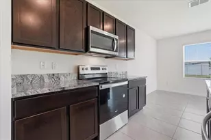 33503 Elm Hl Br, Wesley Chapel, FL 33545 - Photo 19