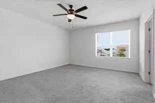 33503 Elm Hl Br, Wesley Chapel, FL 33545 - Photo 37