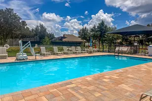 10302 Stone Moss Ave, Tampa, FL 33647 - Photo 39