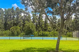 10302 Stone Moss Ave, Tampa, FL 33647 - Photo 43