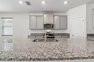 35977 Morse Willow Ct, Zephyrhills, FL 33541 - Photo 31