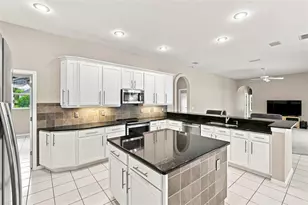 13756 Dowling Ln, Odessa, FL 33556 - Photo 21