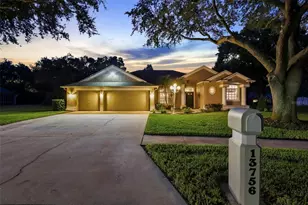 13756 Dowling Ln, Odessa, FL 33556 - Photo 61