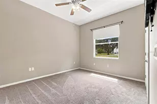 13756 Dowling Ln, Odessa, FL 33556 - Photo 35
