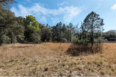 12312 SE 112th Avenue Road, Belleview, FL 34420 - Photo 31