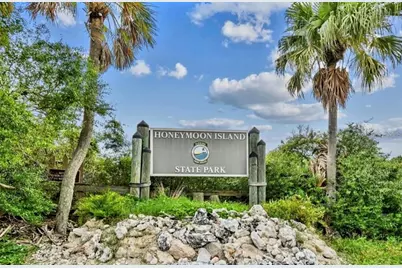 1956 Cedar Drive, Dunedin, FL 34698 - Photo 83