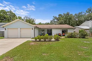 12803 Rain Forest St, Temple Terrace, FL 33617 - Photo 1