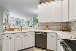 161 Shell Falls Dr, Apollo Beach, FL 33572 - Photo 9