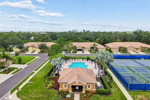 161 Shell Falls Dr, Apollo Beach, FL 33572 - Photo 41