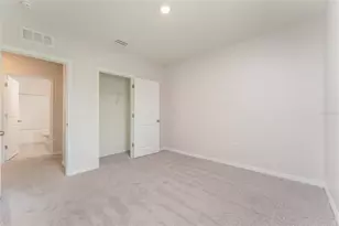17031 Blister Wing Dr, Wimauma, FL 33598 - Photo 25