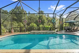 30581 Ivy Forge Ct, Wesley Chapel, FL 33543 - Photo 3