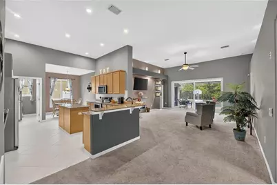 13311 Graham Yarden Drive, Riverview, FL 33579 - Photo 11