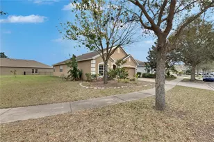 10328 Celtic Ash Dr, Ruskin, FL 33573 - Photo 3
